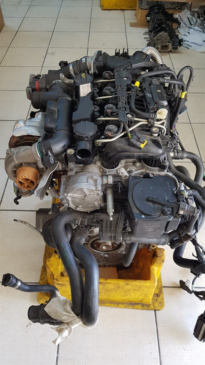 1.6 TDCi - dizel - Ford Focus